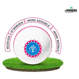 Jaspo Revive World Cup Edition PVC Cricket Ball Only-Durable and Ideal image 4