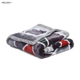 Monte Carlo Multicolor Polyester 553 GSM Winter Blanket image 4