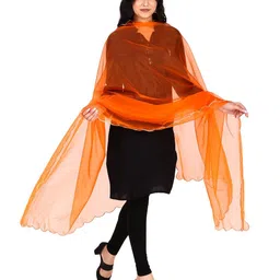 Traditions Bazaar Organza Dupatta image 5