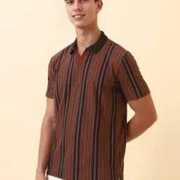 Allen Solly Brown Cotton Regular Fit Striped Polo T-Shirt image 3