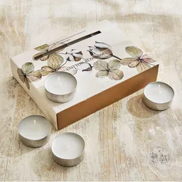 Home Centre Utopia Refresh Bouquet White Set of 24 Cotton Blossom Scented T-Light Candles-picture-30