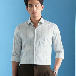 Arrow Men Slim Fit Vertical Striped Spread Collar Formal Shirt-picture-19