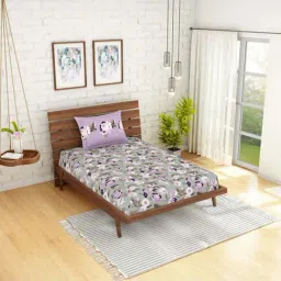 Spaces Atrium Plus Grey & Purple Cotton 210 TC Bed Sheet Set-picture-20