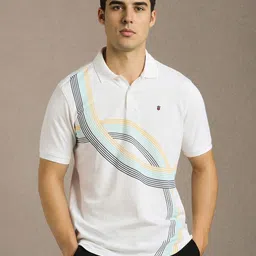 Louis Philippe Sport Striped Polo Collar Slim Fit Pure Cotton Slim Fit T-shirt-picture-22
