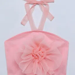 Taffykids Net Knit Sleeveless Rose Applique Detailed Halter Neck Crop Top - Peach-picture-15