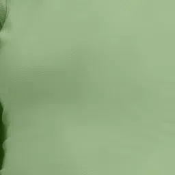 PURVAJA Green Regular Fit Crop Top image 5