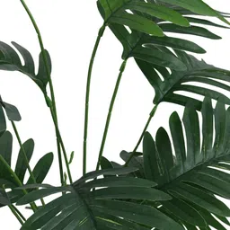 Elemntl Green Core image 4