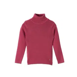 Elle Girl Pink Solid Slim Fit Sweater-image-23