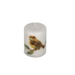 Home4U Multicolor Wax 7.5 cm Small Pillar Candle - Set of 1-image-34
