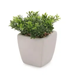 Pure Home and Living Green Plastic Artificial Plant In Cement Pot - Medium image 4