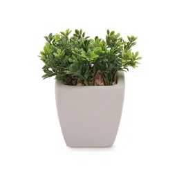 Pure Home and Living Green Plastic Artificial Plant In Cement Pot - Medium image 3