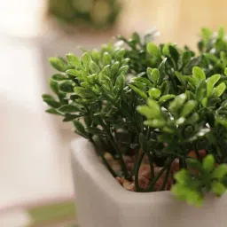 Pure Home and Living Green Plastic Artificial Plant In Cement Pot - Medium image 2