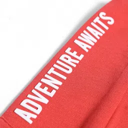 Babyhug Terry Knit Full Length Cut & Sew Track Pants With Text Print & Pockets - Red image 3