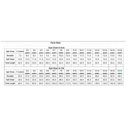 Tilism Woven Sleeveless Shimmered Back Bow Applique Detailed Ombre Gown - Multi Colour image 2