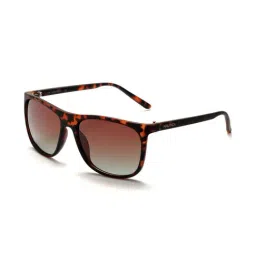 Nautica NA2022P Brown Polarized Square Sunglasses-image-71