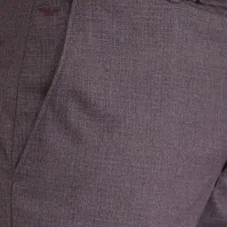 Park Avenue Violet Regular Fit Trousers image 5
