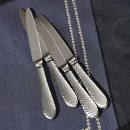 Pure Home and Living Silver Stainless Steel Hammered Dinner Knives - Set of 4-image-4