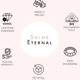 SHINE ETERNAL Lab Grown Diamond 18k (750) Yellow Gold Ring for Men image 5