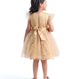 Mark & Mia Sleeveless Party Frock  with Floral Applique & Frill Detailing - Gold image 3