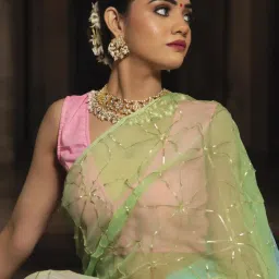 Calmna Multi-Color Multisky Gotapatti Pure Chiffon Saree image 5