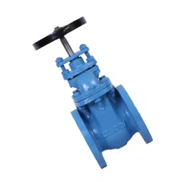 Leader 2-1/2 Inch, 65 mm Cast Iron Wheel Operated Gate Valve CI 004 image 3