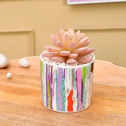 Myntra Elegant Homes Pink & White Succulent Artificial Plant With Pot-image-24