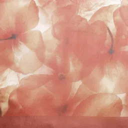 all about you Floral Organza Saree image 3