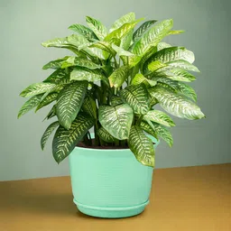 Kuber Industries Green Marble Finish Planters With Tray image 2