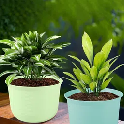 Kuber Industries Blue & Green 2 Pieces Planters With Plate image 1