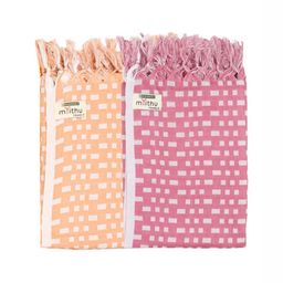 Ramraj Assorted 2 Striped Cotton 170 GSM Bath Towel-picture-48