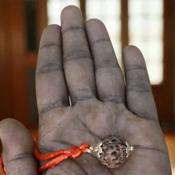 Gems Guru Rudraksha 4 Mukhi Silver Pendent image 5