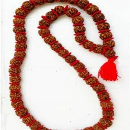 unicop Five Mukhi Nepali 100% Original Rudraksha Kantha Mala Wood Chain image 2