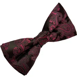 voici Designer Paisley & Self Design Bow image 4