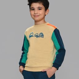 Mi Arcus  100% Cotton Full Sleeves Color Blocked & Tuft Embroidered Sweatshirt - Multi Color-picture-21
