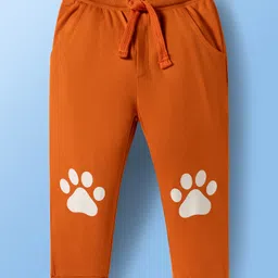 Babyoye 100% Cotton Interlock Knit Full Sleeves T-Shirt & Lounge Pant Set with Tiger Print - Rust Orange & Cream image 4