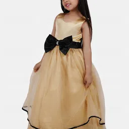 Wow Princess Net A-Line Maxi Dress image 3