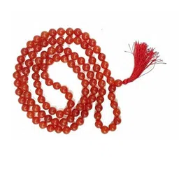 RAVIOUR LIFESTYLE Synthetic Necklace-picture-34