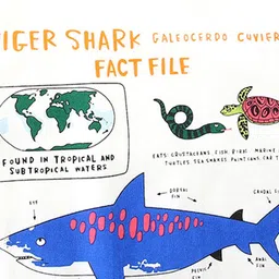 INCLUD Boys Printed Applique T-shirt image 5