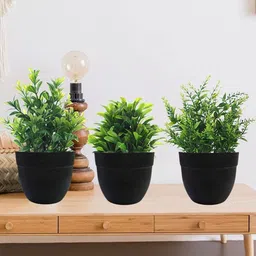 Dekorly Black Plastic Fern Artificial Flowers & Plants With Pot image 2