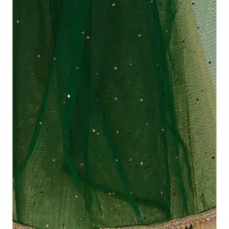 Avantrys Women Green Embellished Dupatta image 2