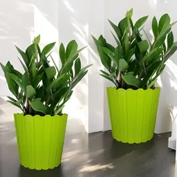 GARDEN'S NEED Thai Green 2 Pieces Textured Planters image 3