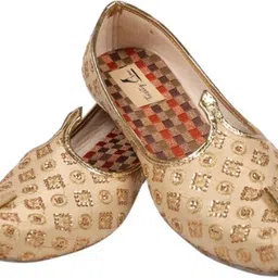 thirsty crow Royal Golden Chikan Embroidery Jutti for Modern Gentlemen Mojaris For Men-picture-28