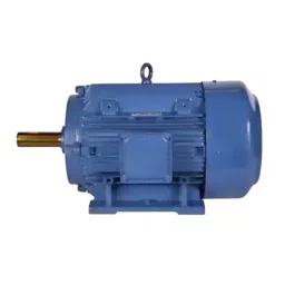 Bharat Bijlee Squirrel Cage Induction Motor IE3 - Safe Area 3 Phase 2 Pole 160 kW 215 HP, 3H31L2M3CT000-picture-40