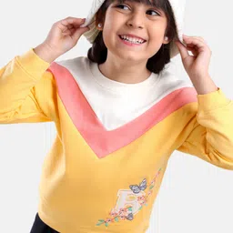 Babyhug Full Sleeves Cotton Knit Cut & Sew Sweatshirt Floral & Butterfly Embroidery - Multicolor"-picture-36