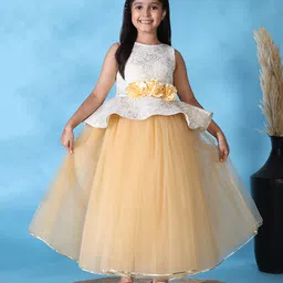 Toy Balloon Kids Net Woven Sleeveless Floral Printed Gota Lace Embellished Gown - Golden-image-52