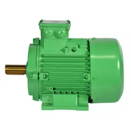 Bharat Bijlee SynchroVERT Line Start Permanant Magnet Synchronous Motor IE4 Super Premium Efficiency 3 Phase 3.7 kW 5 HP, 4H11M4T300000-picture-17