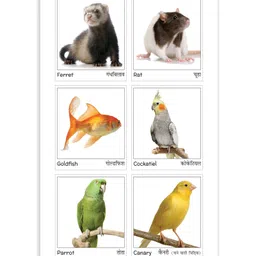 sawan Cut and Paste Chart Books Pack Of 25 Books  - English image 3