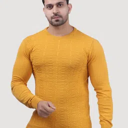 FEVERFEW Men Cotton Self design Pullover-image-42