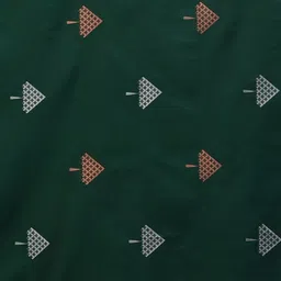 CaniBani Silk Blend Handloom Banarasi Saree image 2