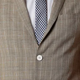 peter england Men Checkered Single Breasted Formal Blazer image 4